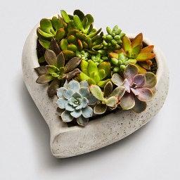 heart succ garden