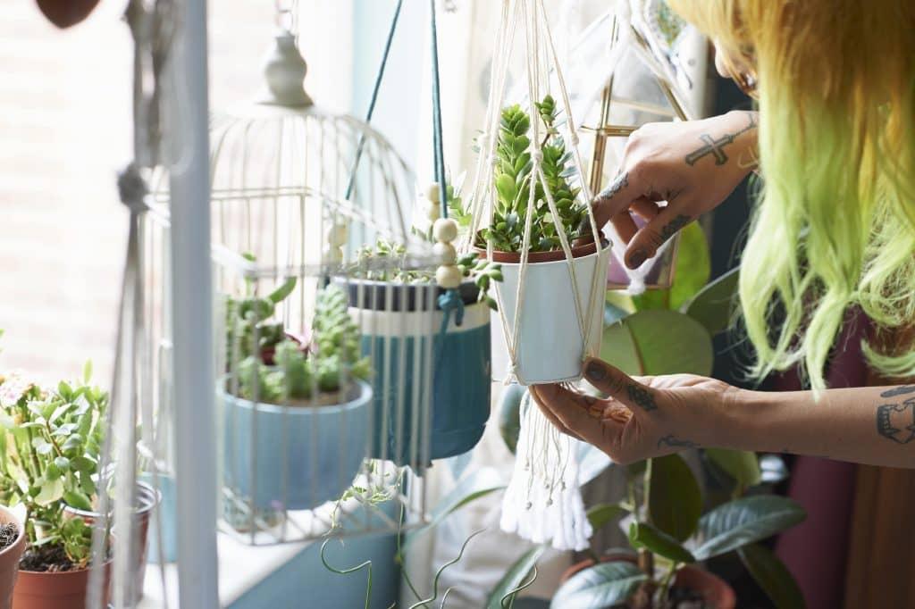 woman tending to plants near window