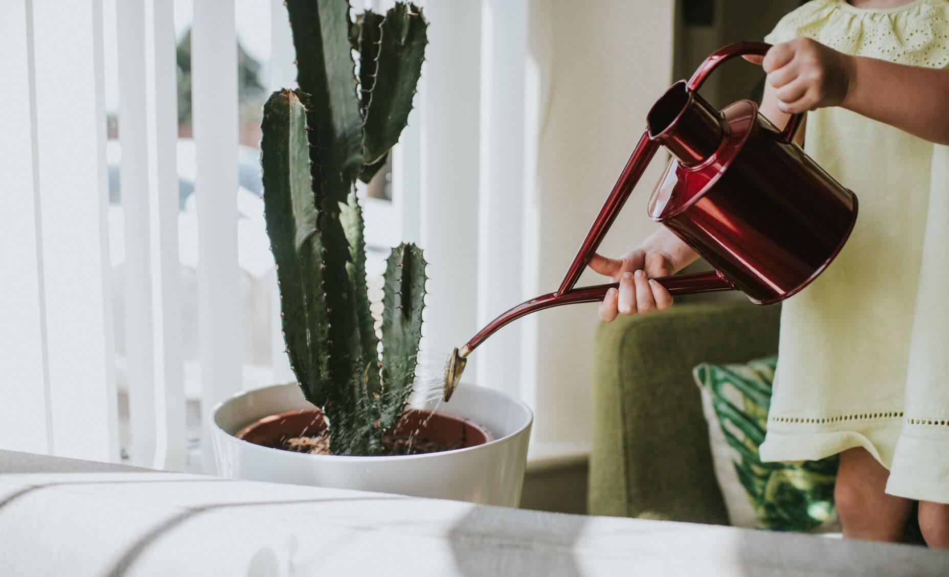 Woman watering a cactus with a watering can