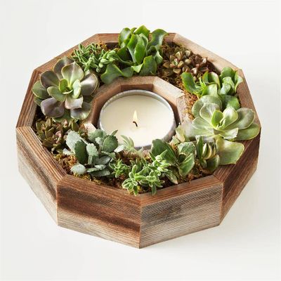 Perabella House Warming Gifts New Home, Housewarming Presents Women Couple  3 Succulent Pots 